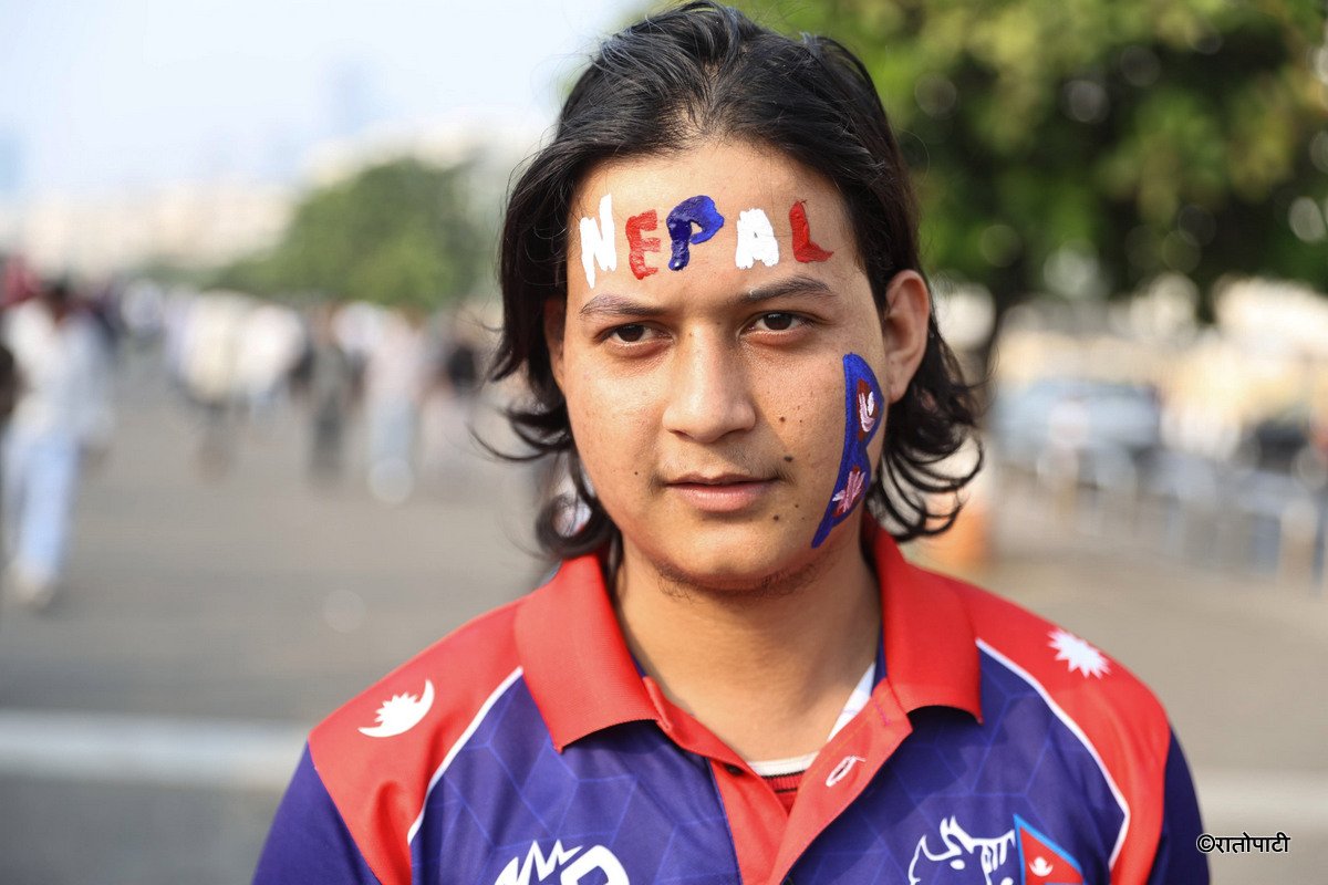 cricket fan (7)