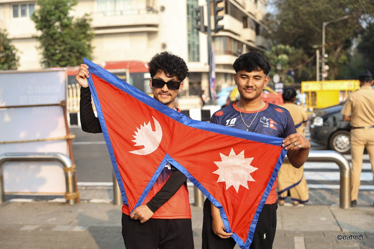 cricket fan (8)