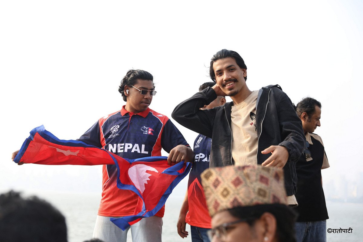 cricket fan (9)