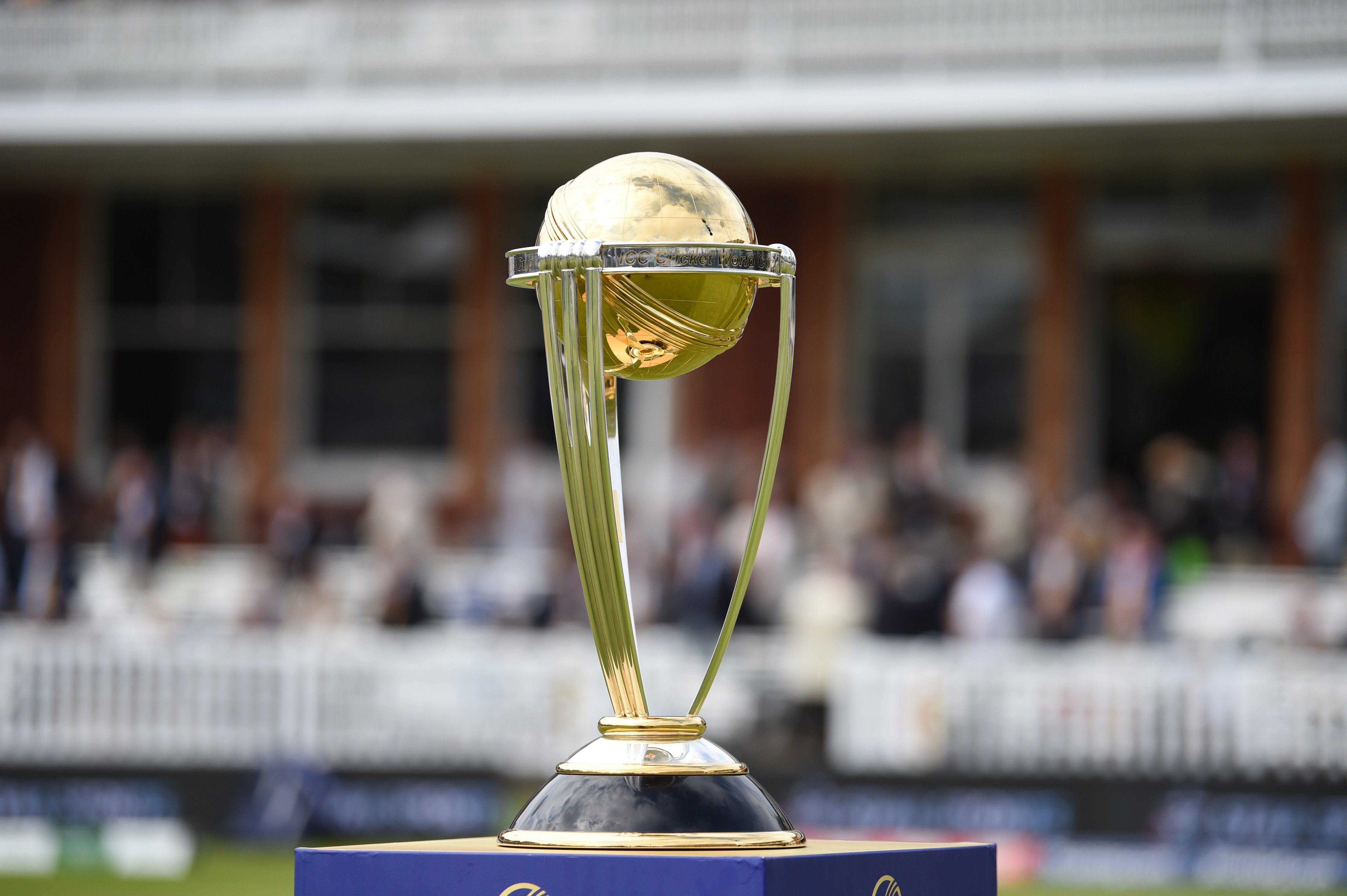 cricket world cup