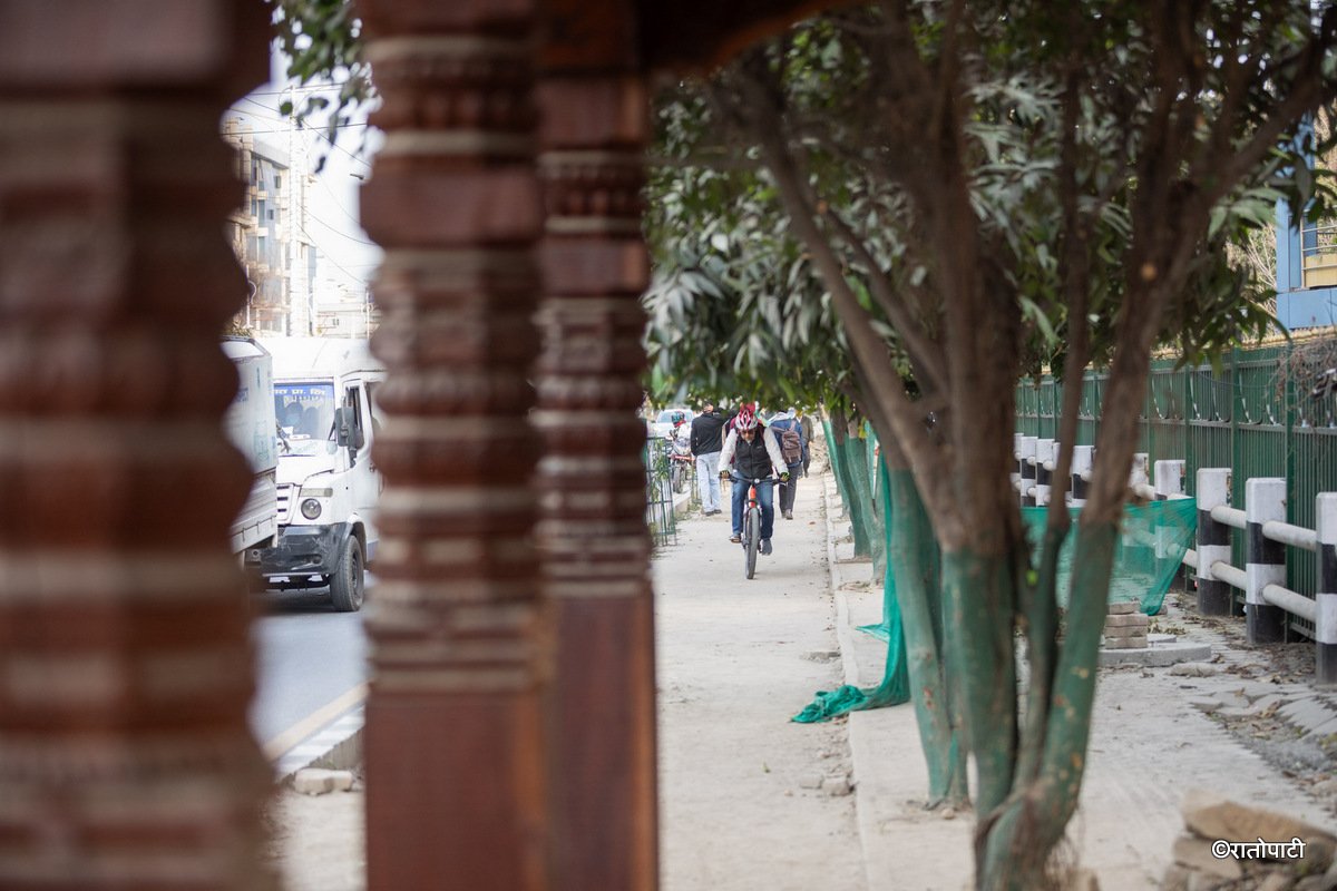 CYCLE LANE (13)