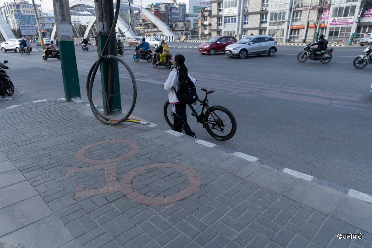 CYCLE LANE (2)