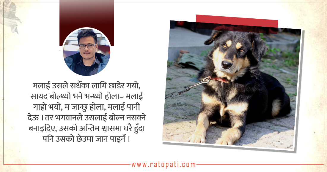   मेरो जन्मदिनकै दिन मलाई एक्लै पारेर गयो