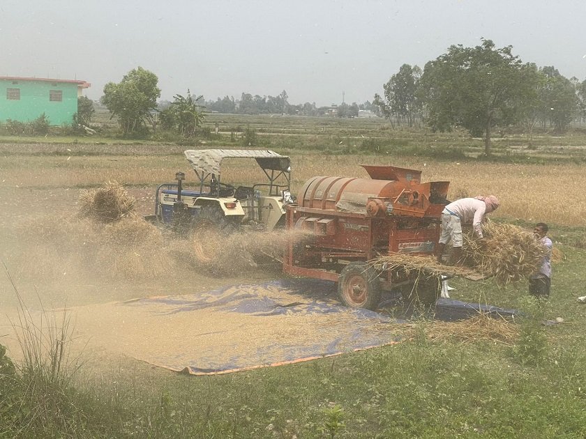 महँगो डिजेलबिच पनि मधेसमा हराउँदै छ दाइँ परम्परा