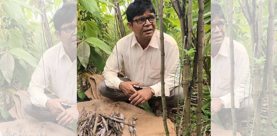 स्वदेशमै पौरख गर्ने हुटहुटीले लाहाखेती