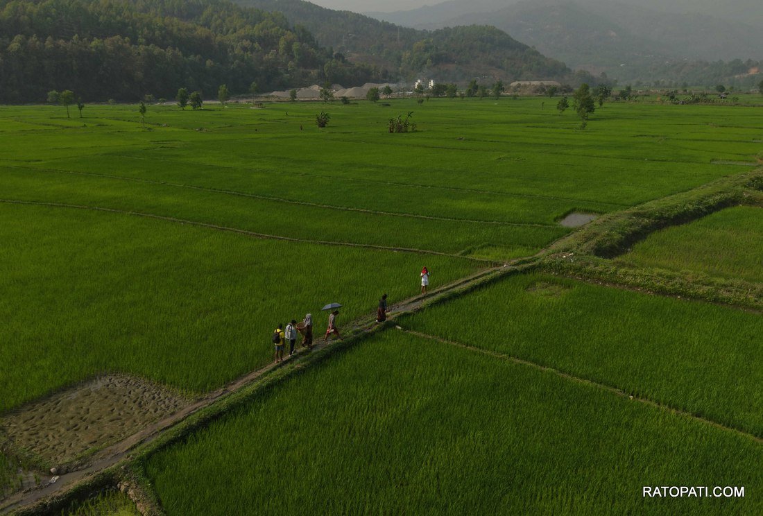Daraudi Fat_Gorkha_0844_D