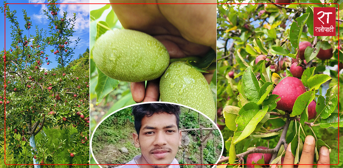   कृषि कर्ममा लागेका अनिल भन्छन्– विदेश किन जानु ?
