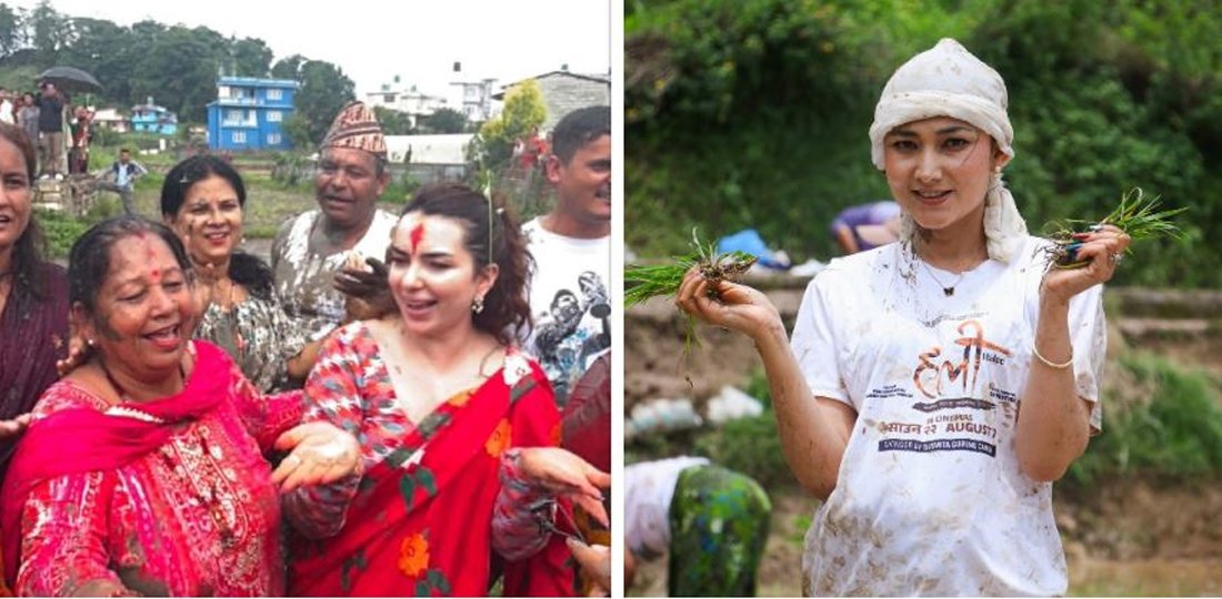 कलाकारहरूले मनाए धान दिवस