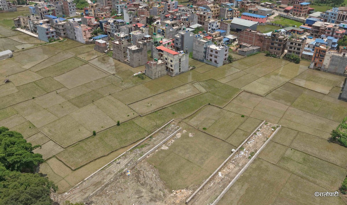   नारामा आत्मनिर्भरता, व्यवहारमा प्लटिङ (तस्बिरहरू)
