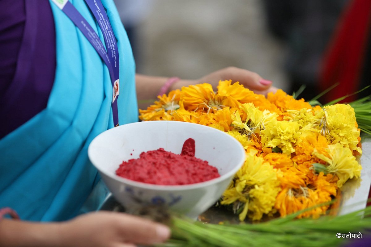 dhan ropain (11)