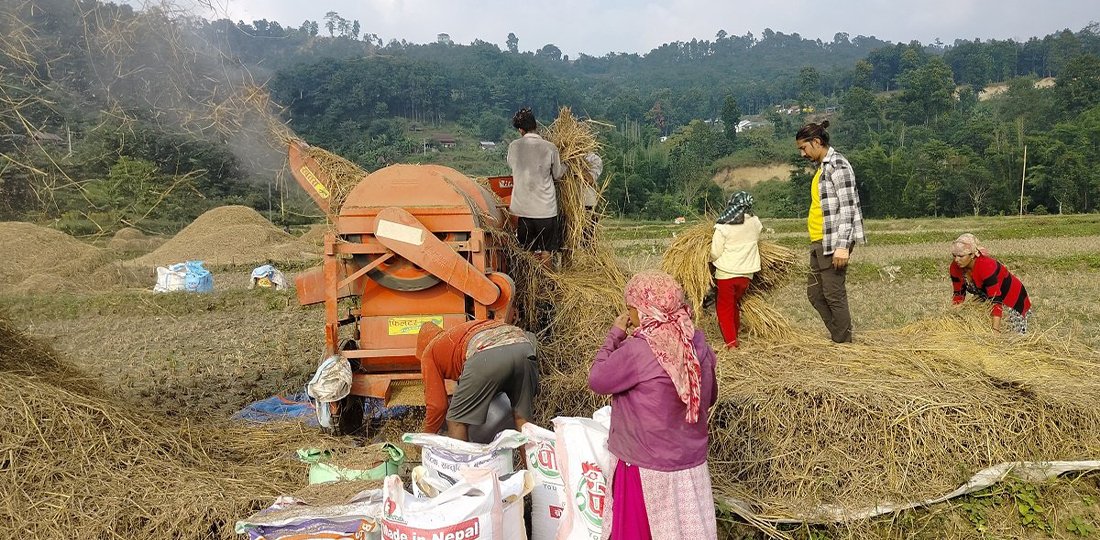   बागमती प्रदेशः घट्यो कृषि उत्पादन र खेती गर्ने ठाउँ