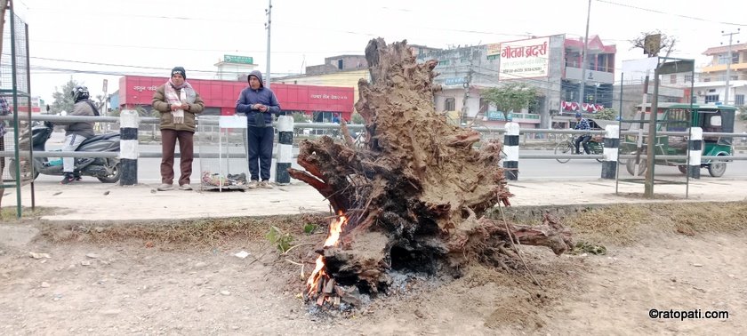 Dhangadhi Cold (6)