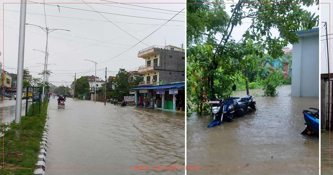   धनगढीमा २४ घण्टामा २०२ मिलिमिटर वर्षा, व्यापक डुबान