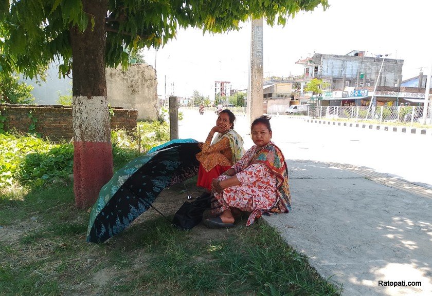 dhangadhi-garmi (5)