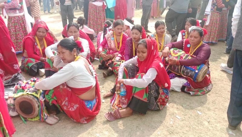 dhangadhi-raswapa (1)