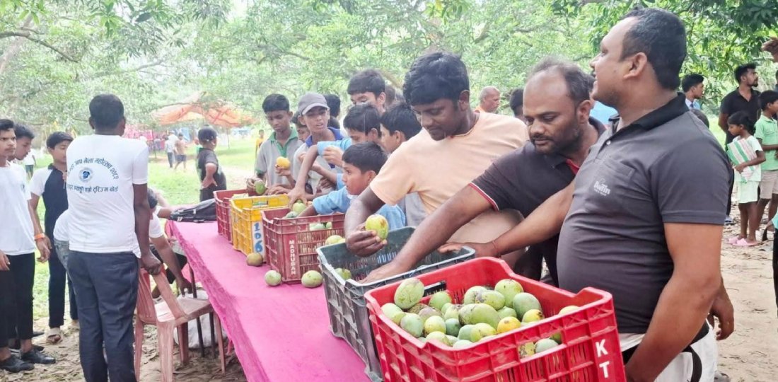   आँप मेलामा रु १० लाखभन्दा बढीको कारोबार