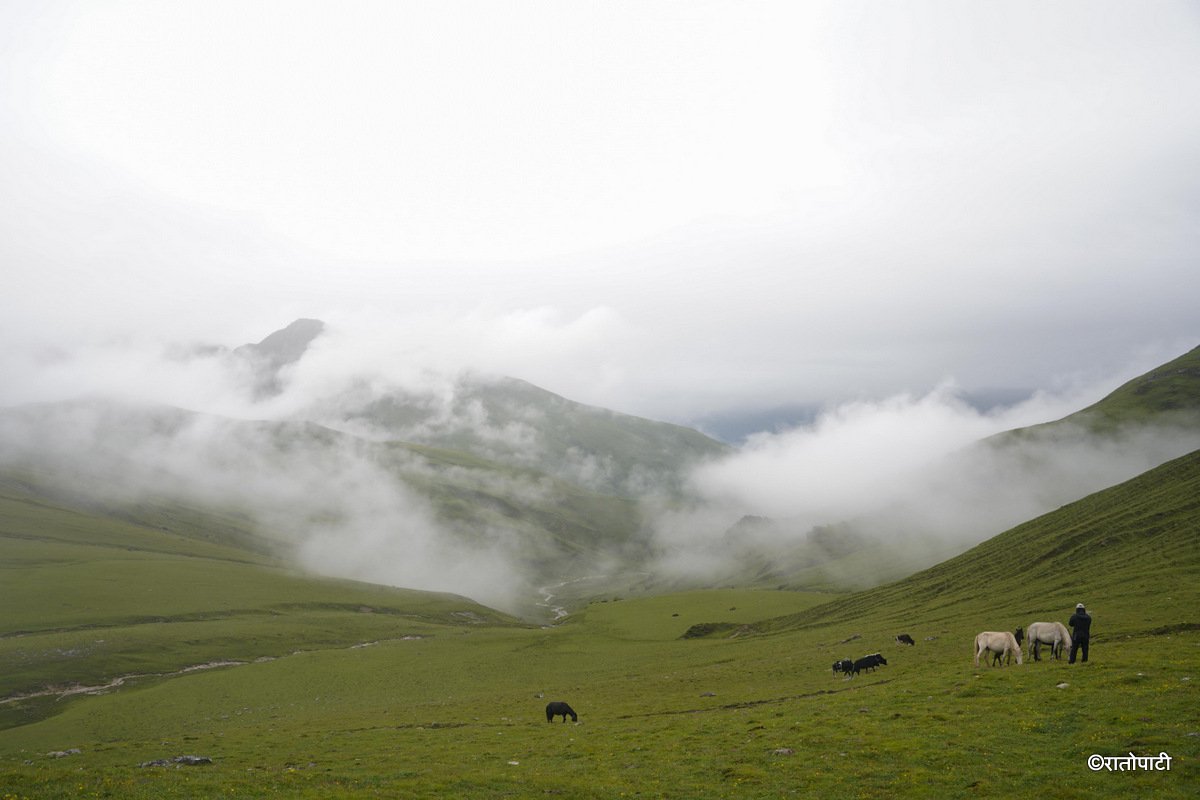Dhorpatan (14)