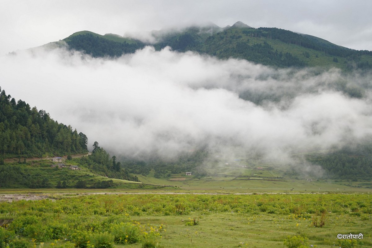Dhorpatan (7)
