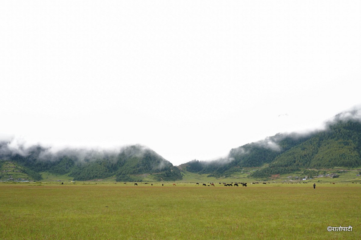 Dhorpatan (9)