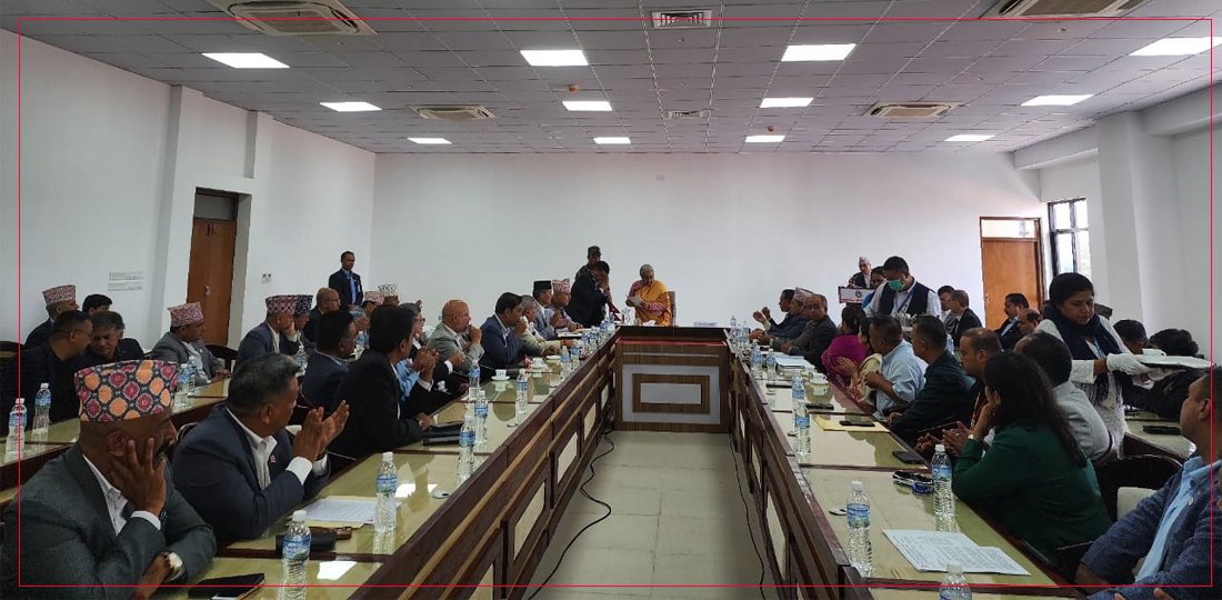   अर्थतन्त्रको पुनरुत्थानबारे निजी क्षेत्रका प्रतिनिधिसँग प्रधानमन्त्रीको छलफल