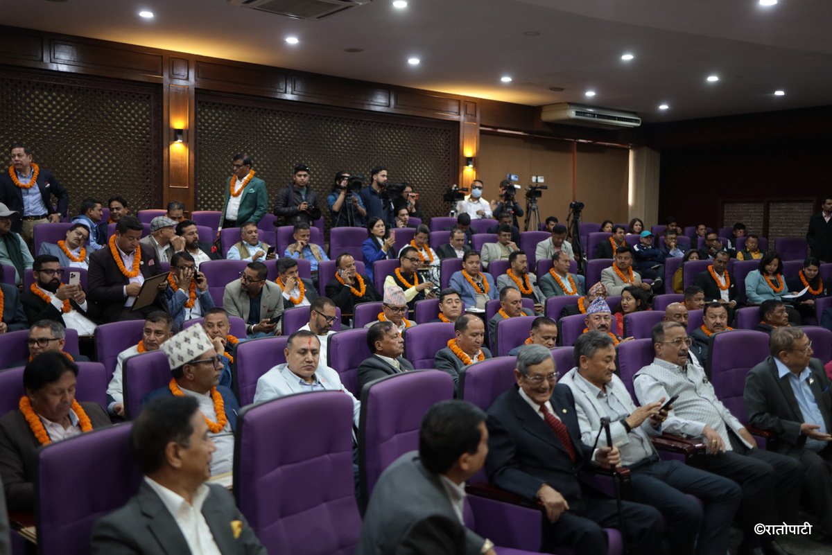 dncci  (14)