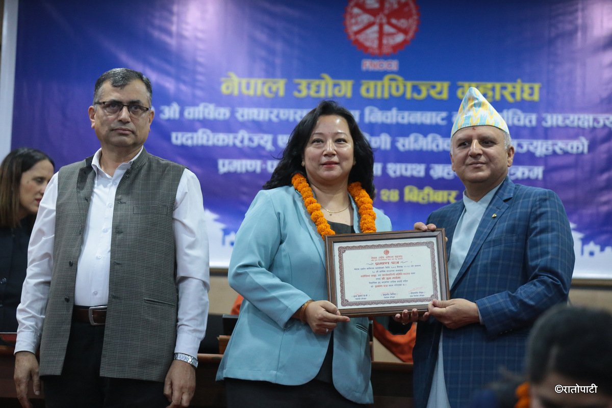 dncci  (24)