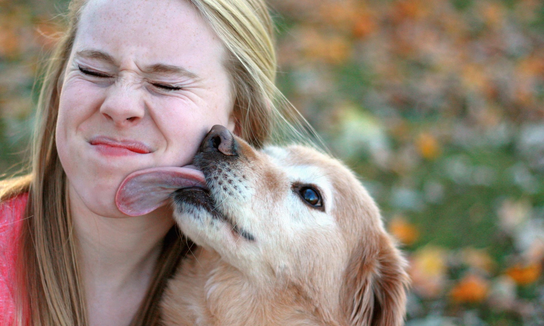 dog-2