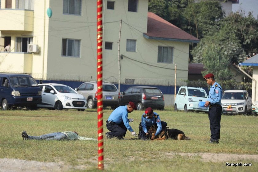 dog-nepali-police-tihar (1)