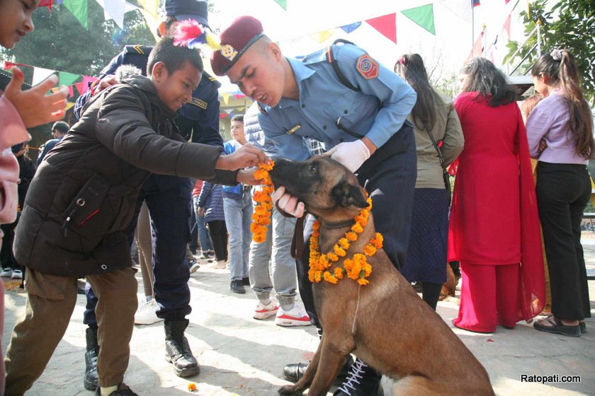 dog-nepali-police-tihar (14)