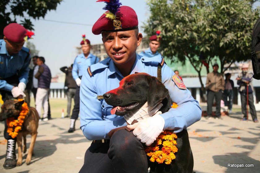 dog-nepali-police-tihar (20)