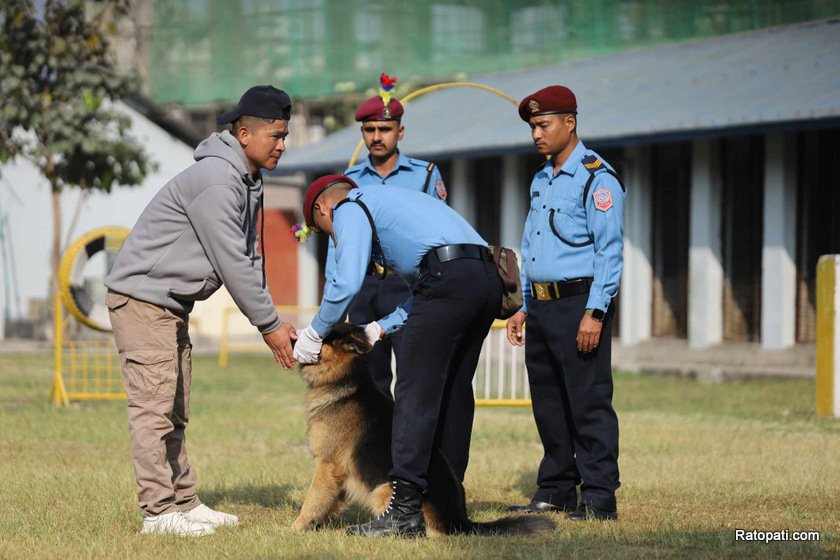 dog-nepali-police-tihar (3)