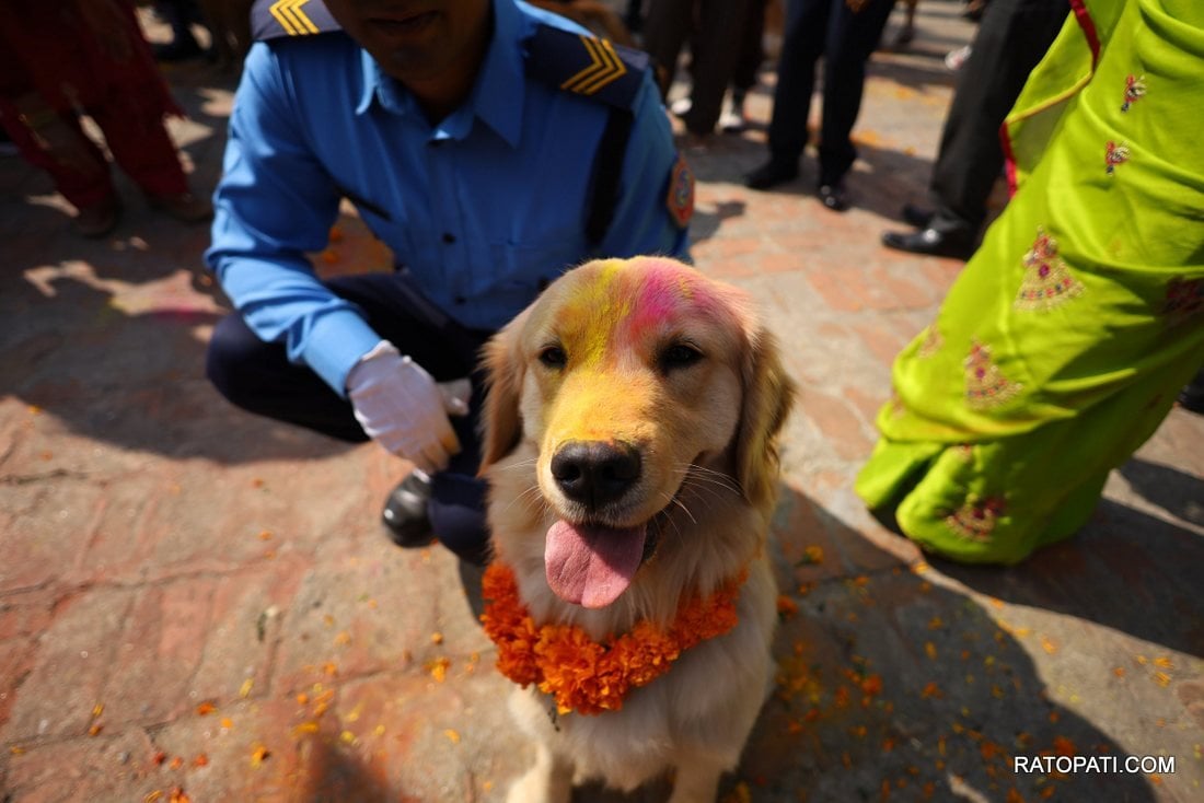 dog prahari (13)