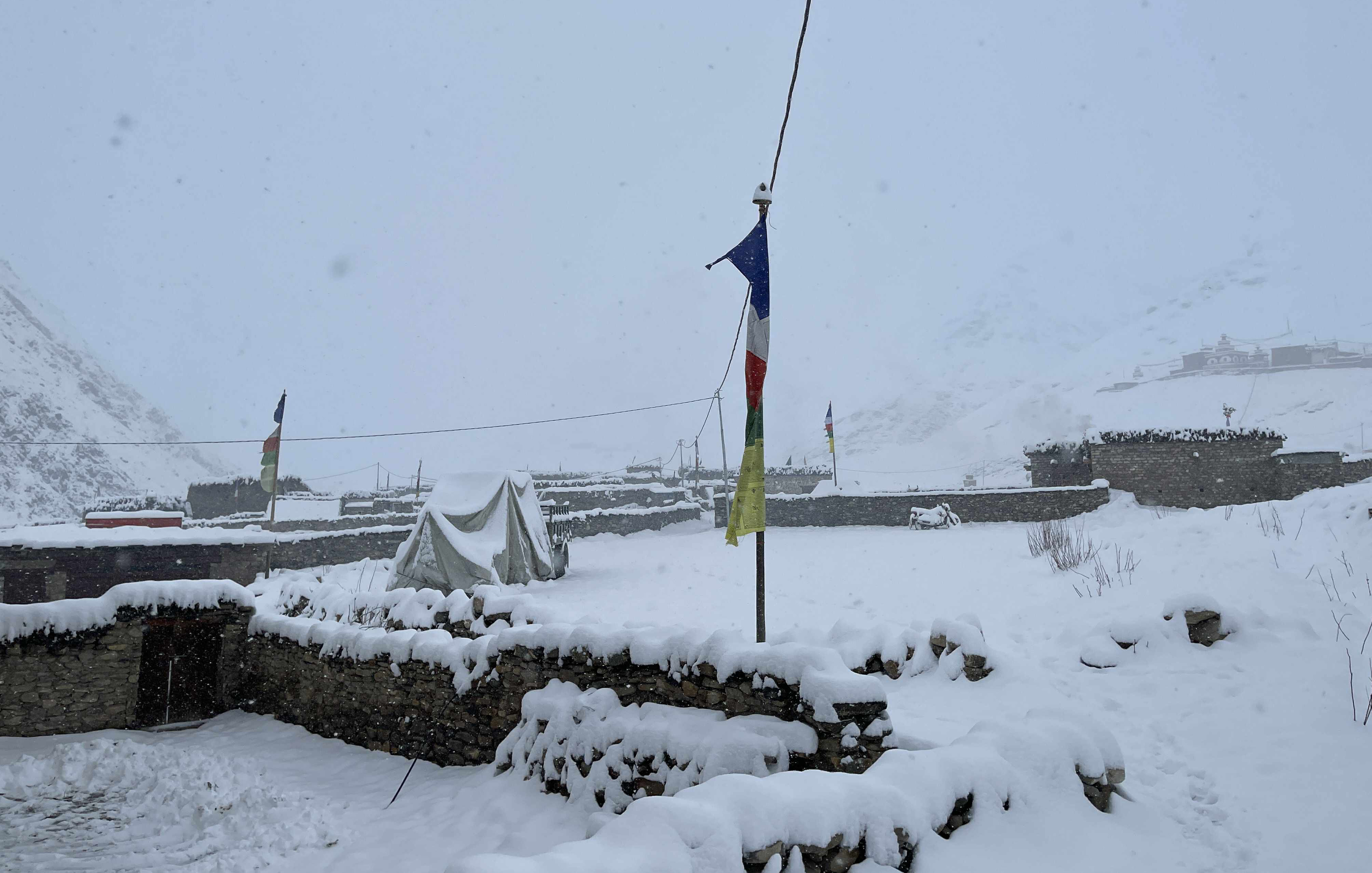dopla snow himpat
