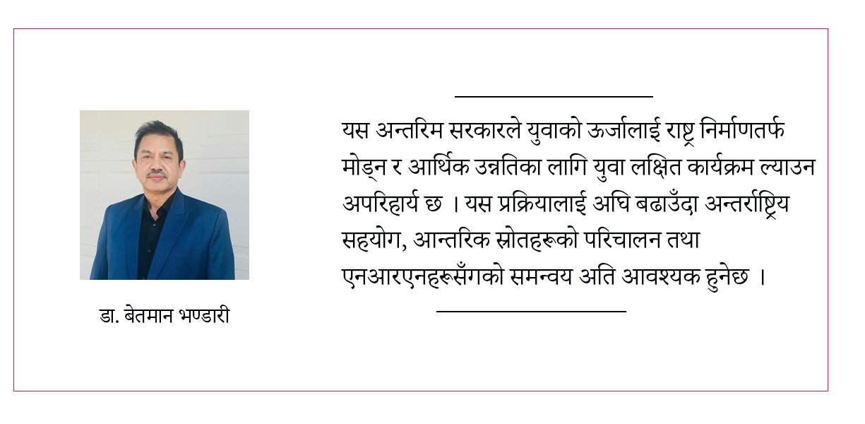 देशको विषम परिस्थितिमा एनआरएनको भूमिका