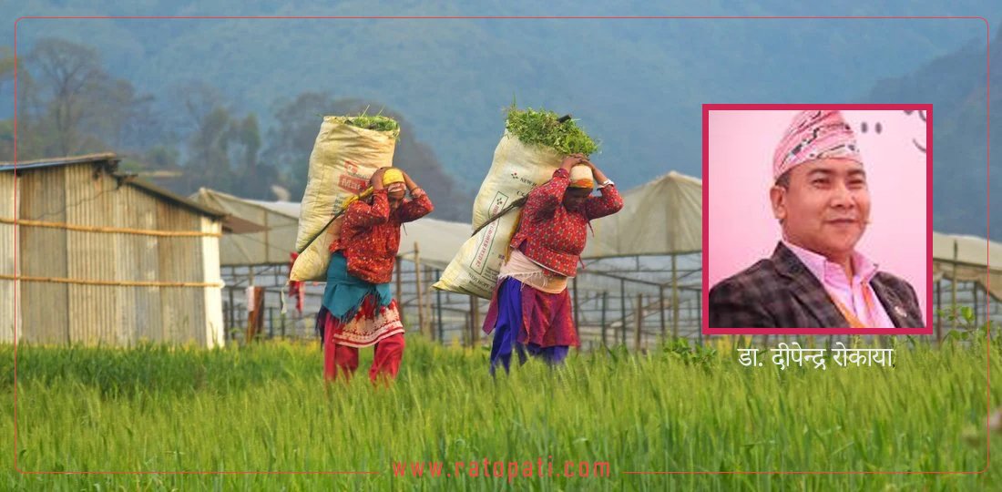   आगामी नीति तथा कार्यक्रम कस्तो आउनुपर्छ ?