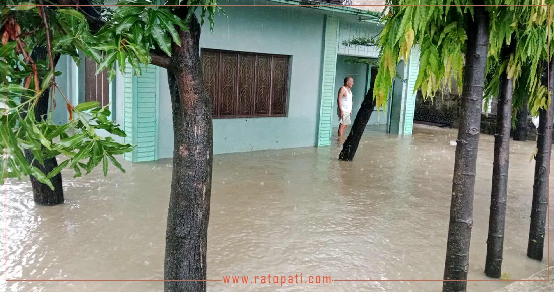   धनगढीमा भारी वर्षा, घरहरू डुबानमा