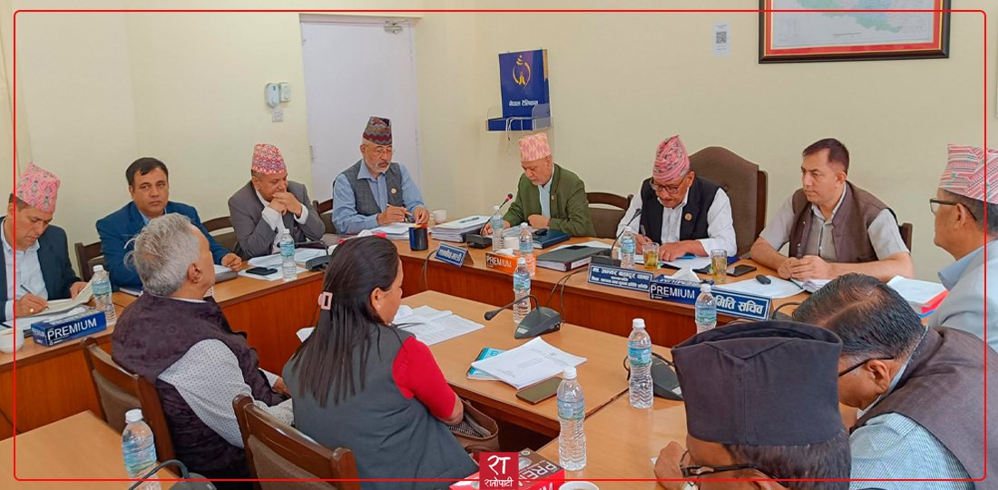 निजी विद्यालयलाई गुठी र कम्पनी दुवैमा जान दिनेगरि लचिलो बन्ने सरकारको प्रस्ताव