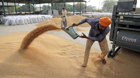 मुद्रास्फीति नियन्त्रण गर्न भारतले गहुँको थोक मूल्य घटायो