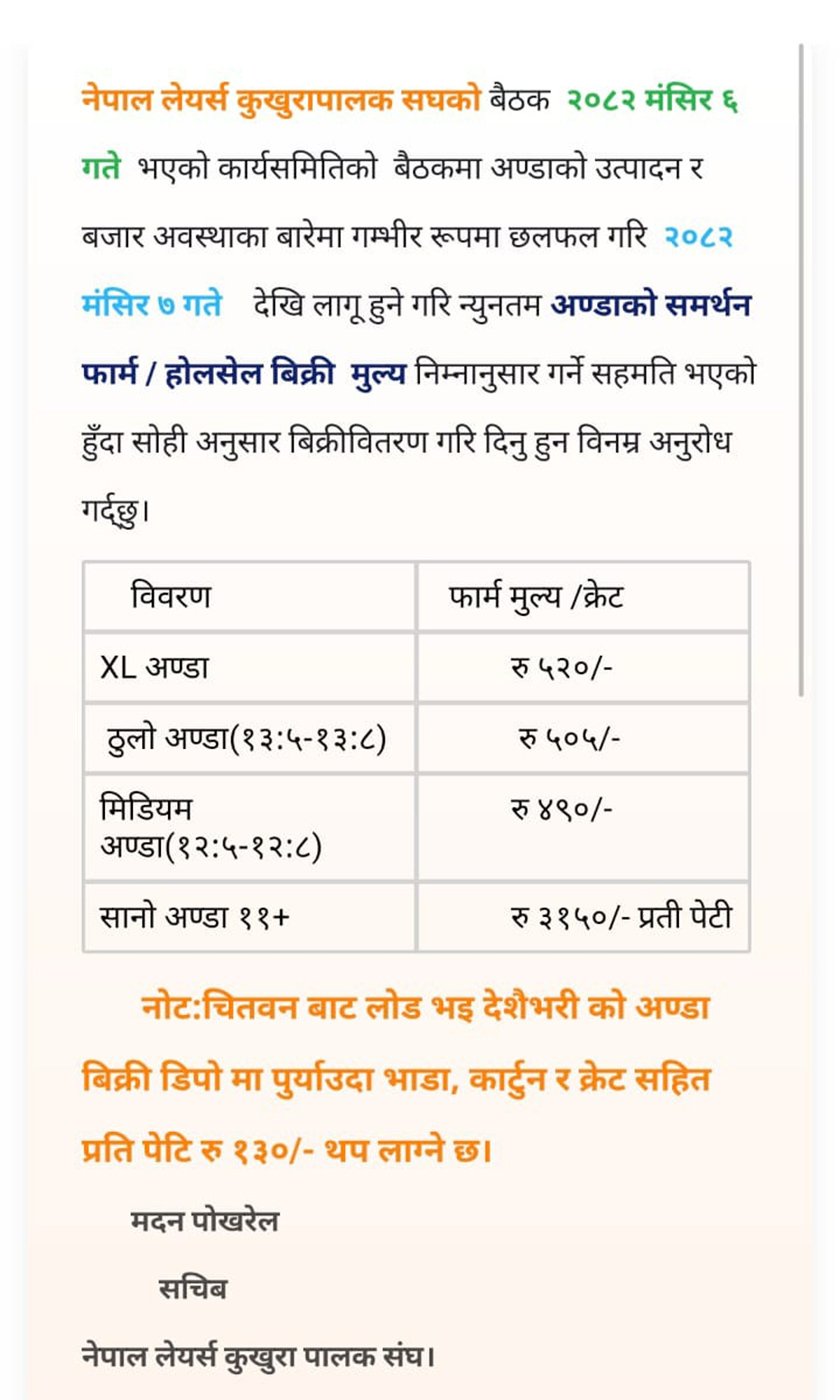 Egg Price Mansir 6