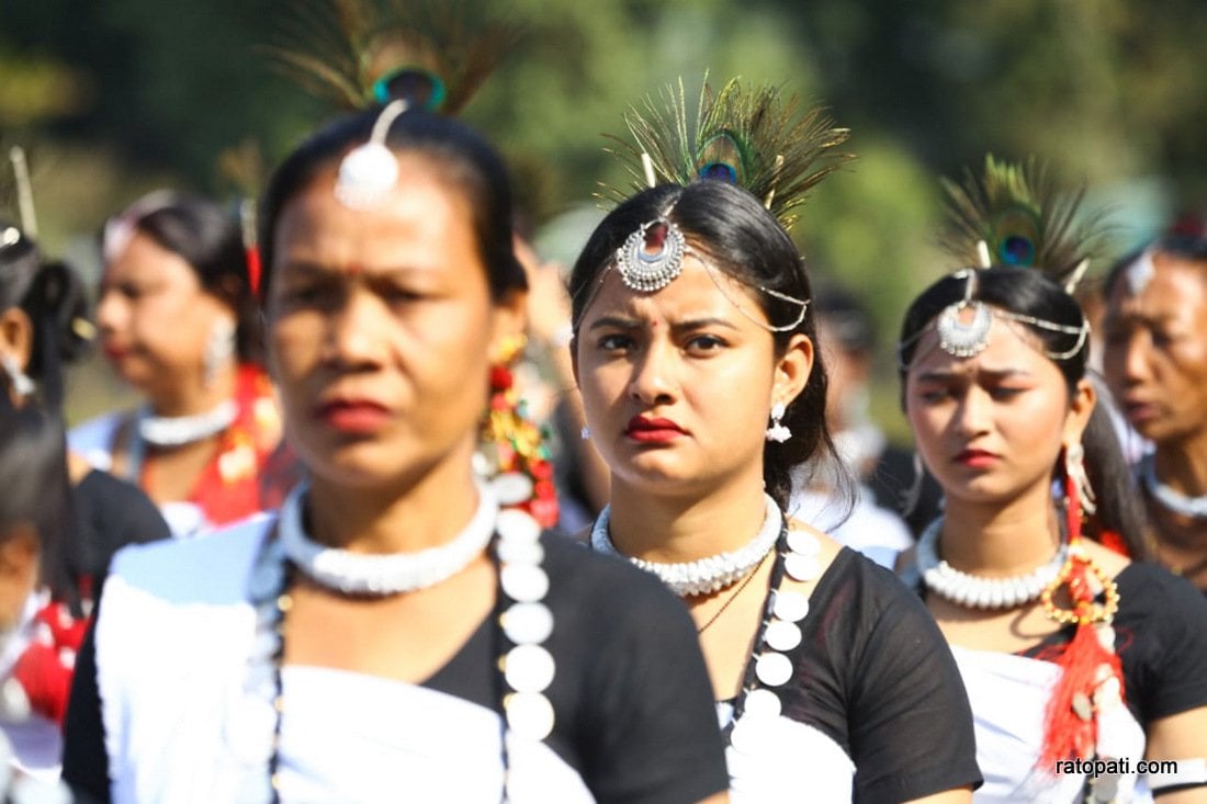 Elephant festival-Sauraha_Nepal Photo Library10