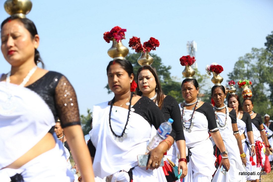 Elephant festival-Sauraha_Nepal Photo Library11