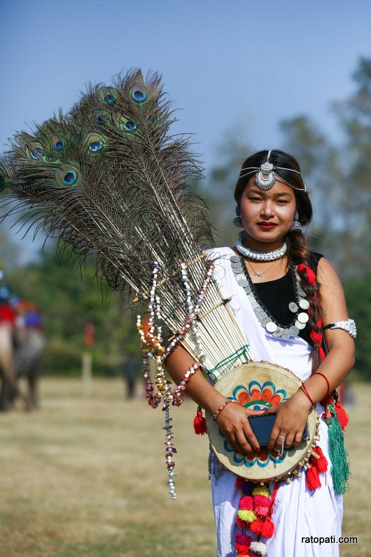 Elephant festival-Sauraha_Nepal Photo Library15