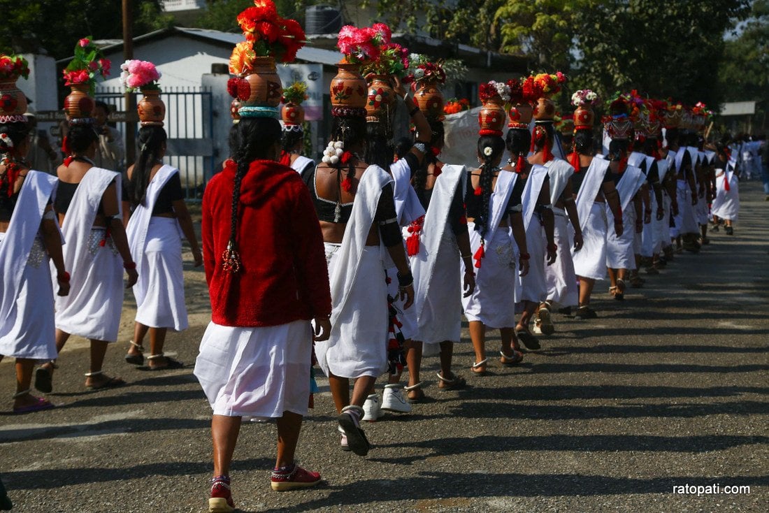 Elephant festival-Sauraha_Nepal Photo Library3