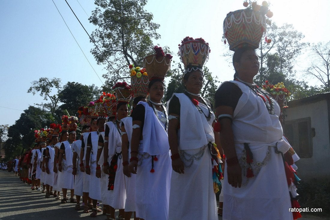 Elephant festival-Sauraha_Nepal Photo Library4