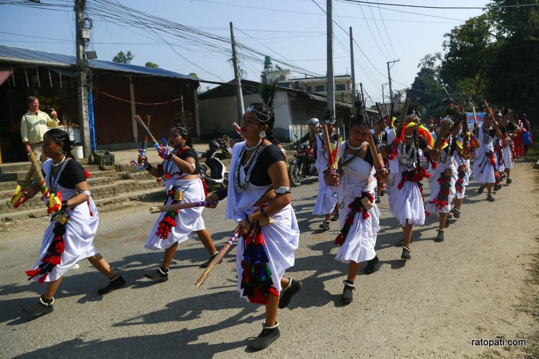 Elephant festival-Sauraha_Nepal Photo Library5