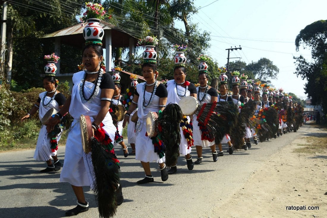 Elephant festival-Sauraha_Nepal Photo Library7