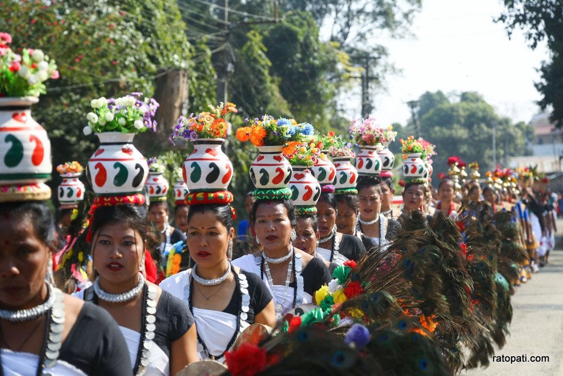 Elephant festival-Sauraha_Nepal Photo Library8