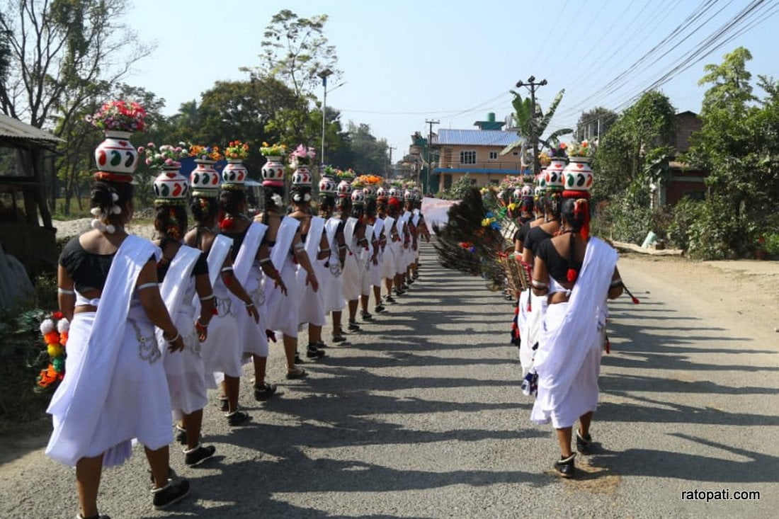 Elephant festival-Sauraha_Nepal Photo Library9