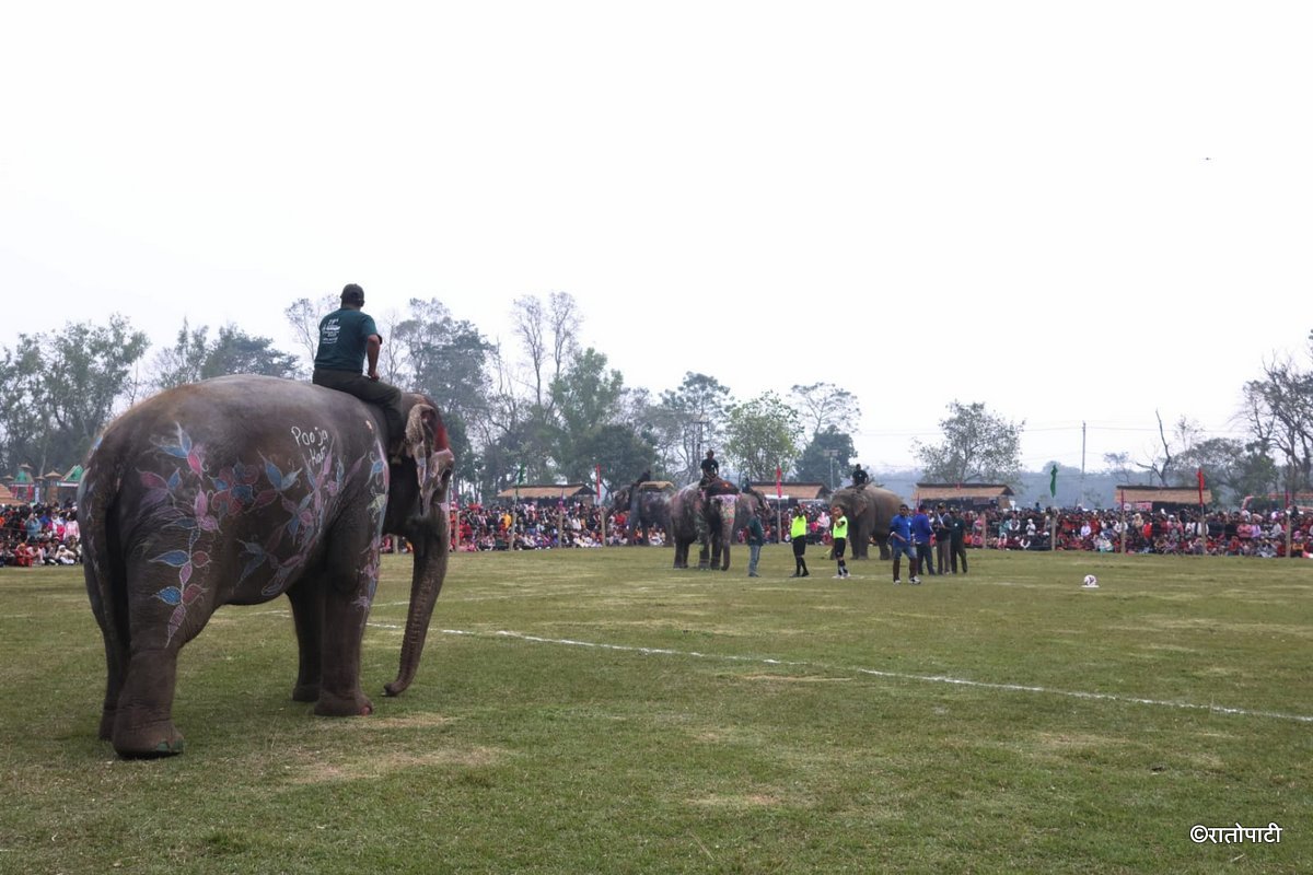 Elephent Football_NPL (1)