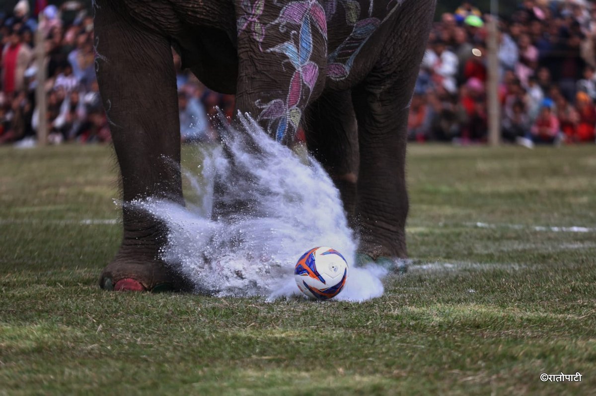 Elephent Football_NPL (10)